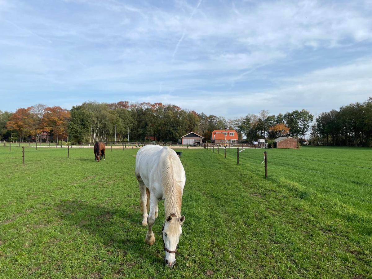 Bed & Breakfast Hoeve Happiness - Ontbijt Inbegrepen - Wellness Aanwezig 福尔特赫伊曾 外观 照片