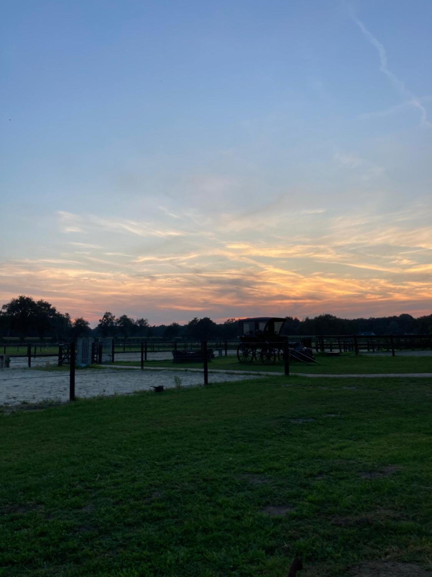 Bed & Breakfast Hoeve Happiness - Ontbijt Inbegrepen - Wellness Aanwezig 福尔特赫伊曾 外观 照片