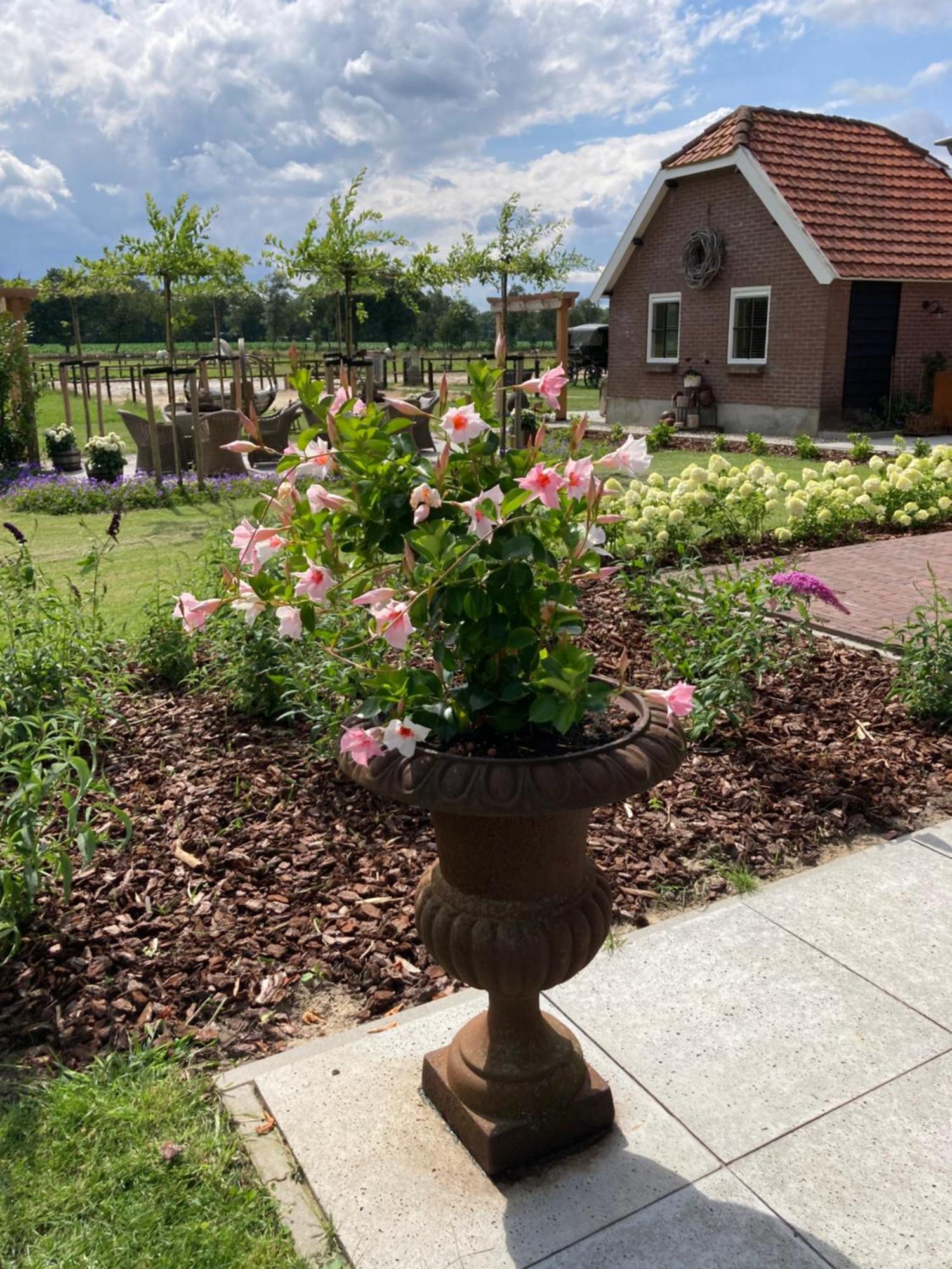 Bed & Breakfast Hoeve Happiness - Ontbijt Inbegrepen - Wellness Aanwezig 福尔特赫伊曾 外观 照片