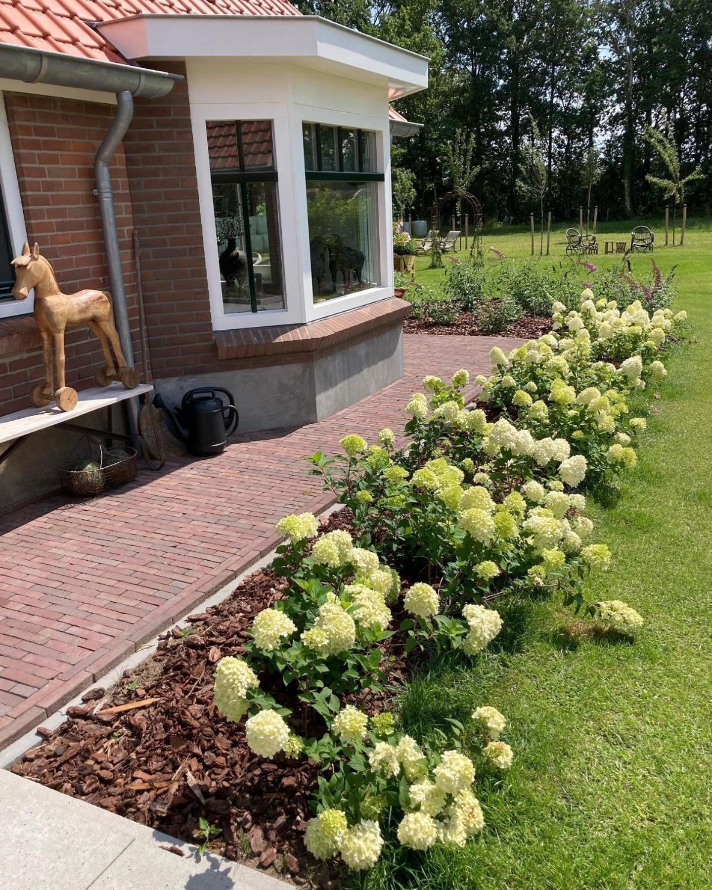 Bed & Breakfast Hoeve Happiness - Ontbijt Inbegrepen - Wellness Aanwezig 福尔特赫伊曾 外观 照片