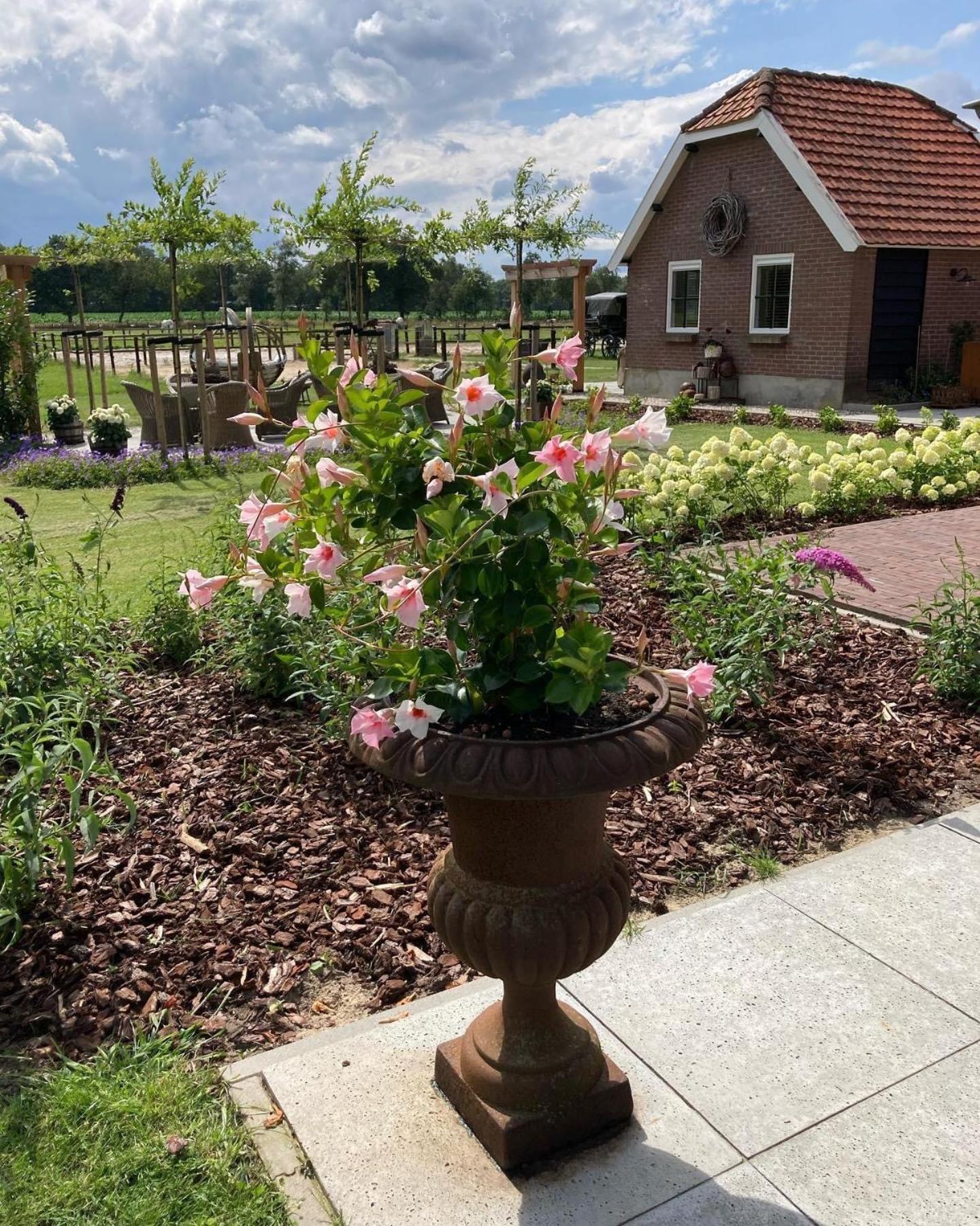 Bed & Breakfast Hoeve Happiness - Ontbijt Inbegrepen - Wellness Aanwezig 福尔特赫伊曾 外观 照片
