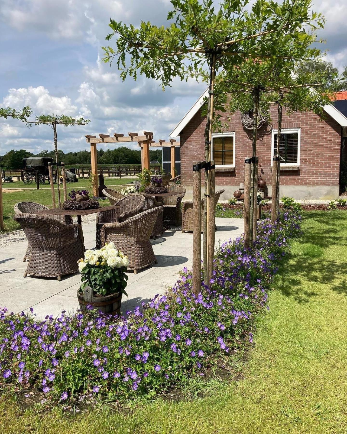 Bed & Breakfast Hoeve Happiness - Ontbijt Inbegrepen - Wellness Aanwezig 福尔特赫伊曾 外观 照片