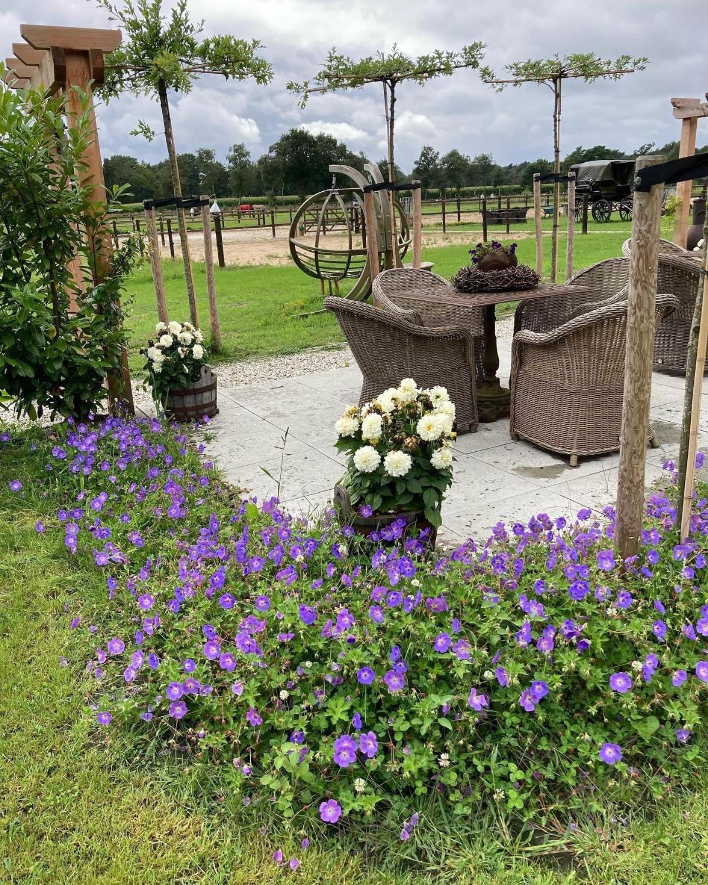 Bed & Breakfast Hoeve Happiness - Ontbijt Inbegrepen - Wellness Aanwezig 福尔特赫伊曾 外观 照片