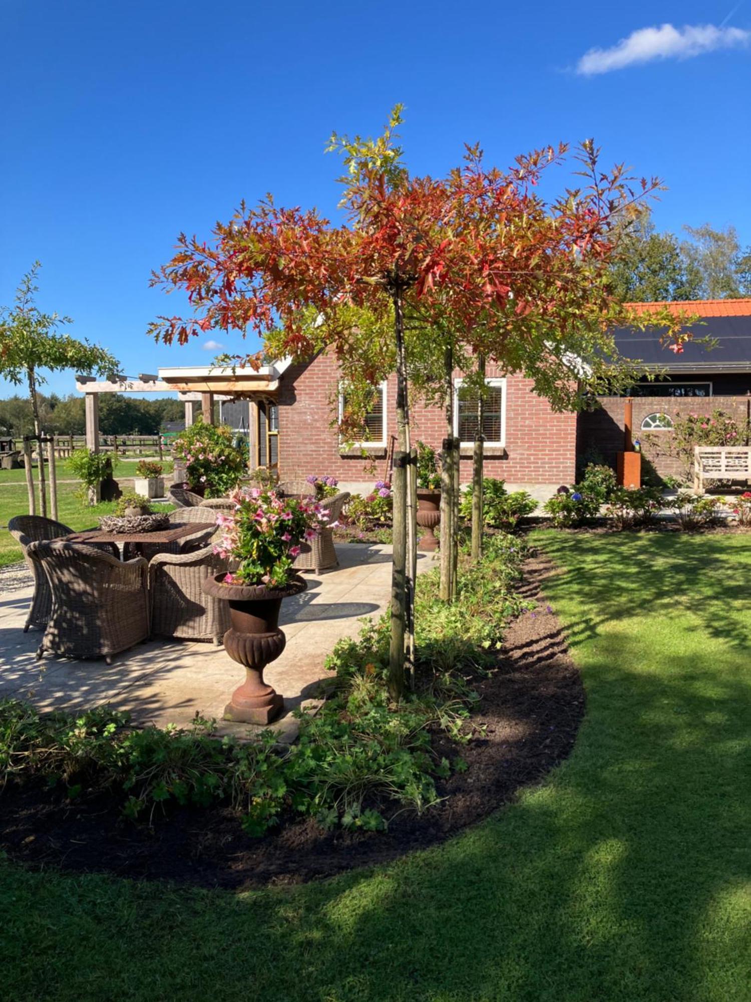 Bed & Breakfast Hoeve Happiness - Ontbijt Inbegrepen - Wellness Aanwezig 福尔特赫伊曾 外观 照片